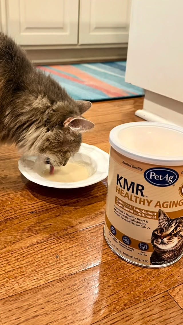 KMR Healthy Aging